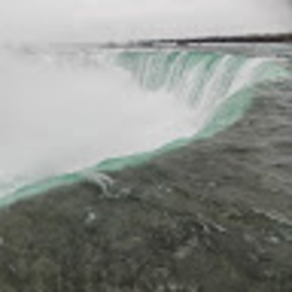 Meet your Posher, Robin - Picture 1 of 1